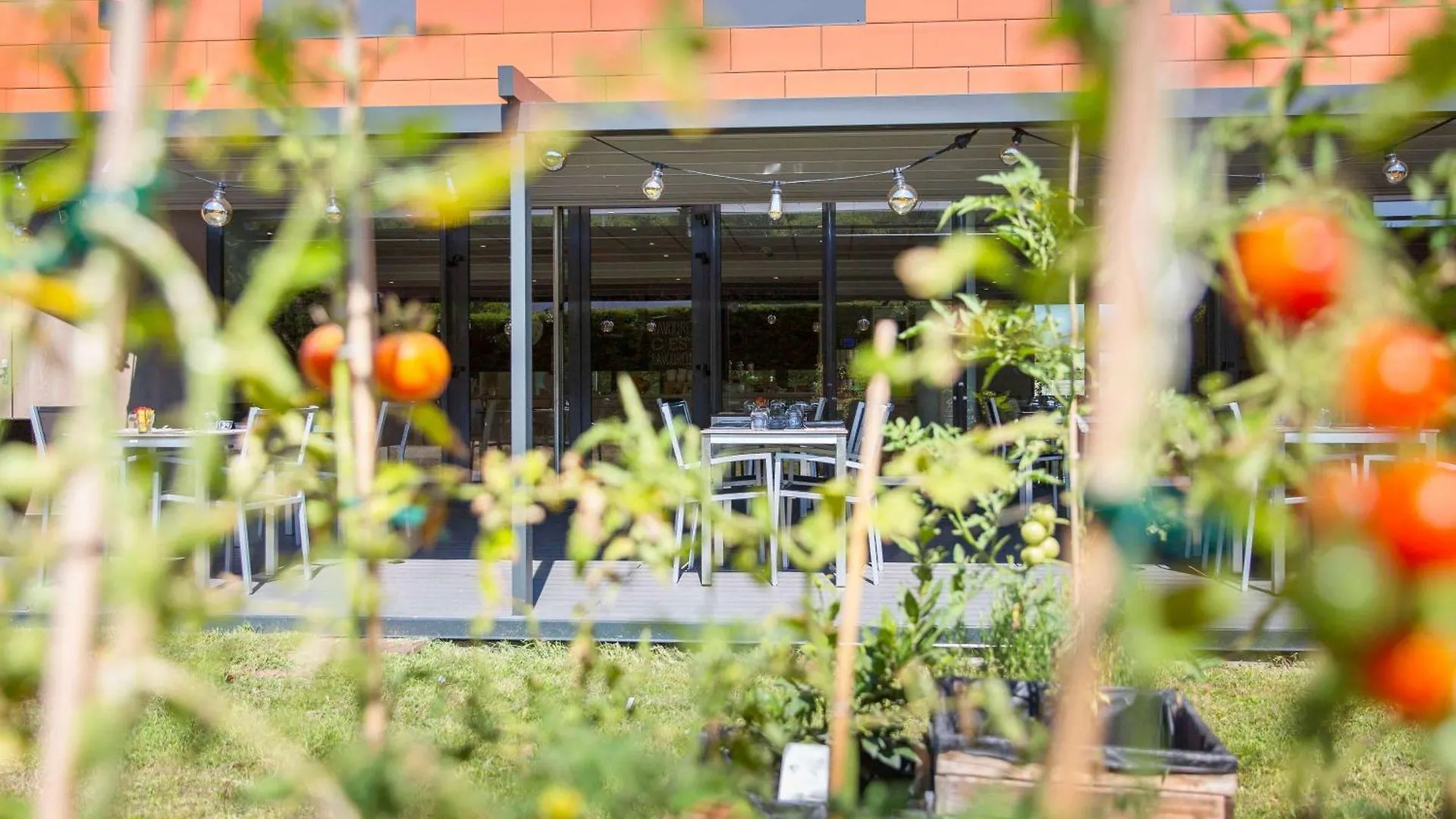 Ibis Lyon Est Chaponnay Hotel
